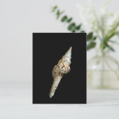 海紡錘 ポストカード (スタンド正面)