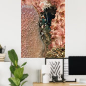 海綿に入ったサンゴの海老 ポスター (ホームオフィス)