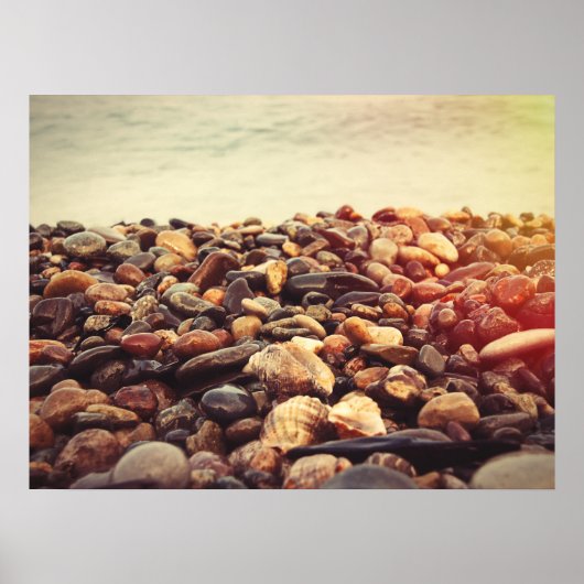 海綿石 ポスター (正面)