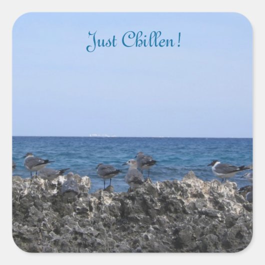 海美しい スクエアシール (正面)