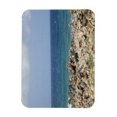 海美しい マグネット (縦)
