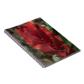 海老の植物またはそびえる朱色 ノートブック (右側)