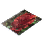 海老の植物またはそびえる朱色 ノートブック (左側)