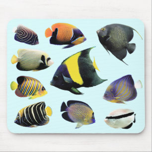 海老アンゲラのフィッシュマウスパッド,No.01 マウスパッド