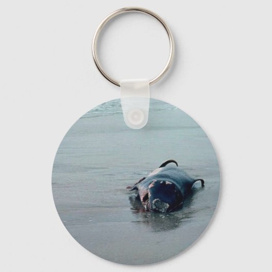 海老マッコウクジラ キーホルダー (正面)