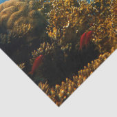 海老紙 薄葉紙 (詳細)