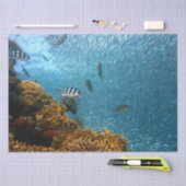 海老紙 薄葉紙 (クラフト)