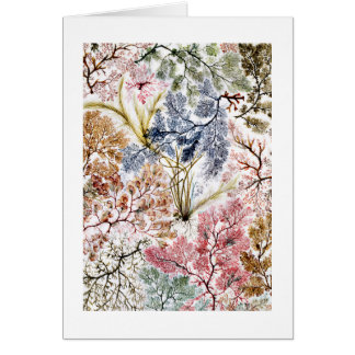 海苔の絹織物アート