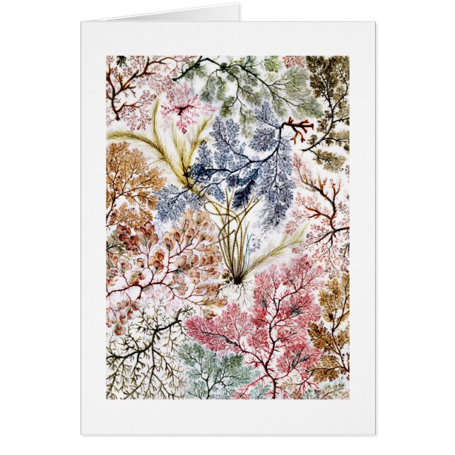 海苔の絹織物アート (正面)