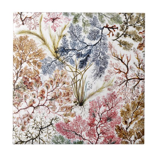 海苔の絹織物アート タイル (正面)