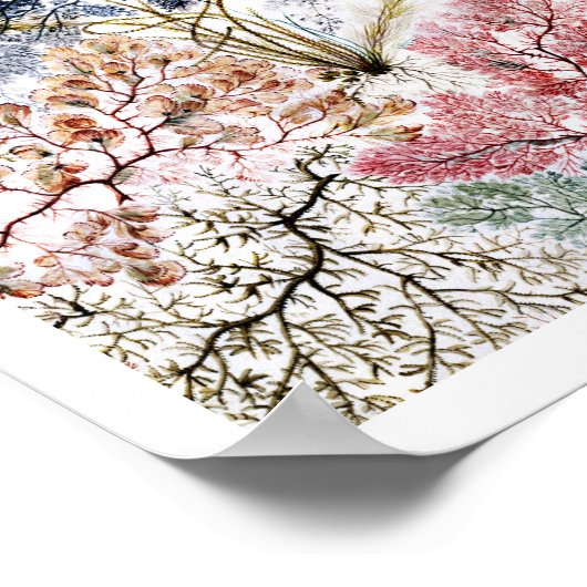 海苔の絹織物アート ポスター (角)