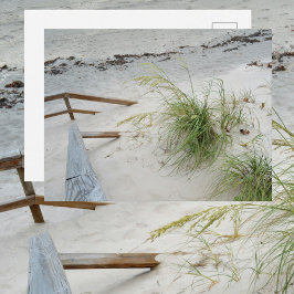 海草と白砂の砂丘ビーチの写真 ポストカード