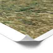 海草地 ポスター (角)