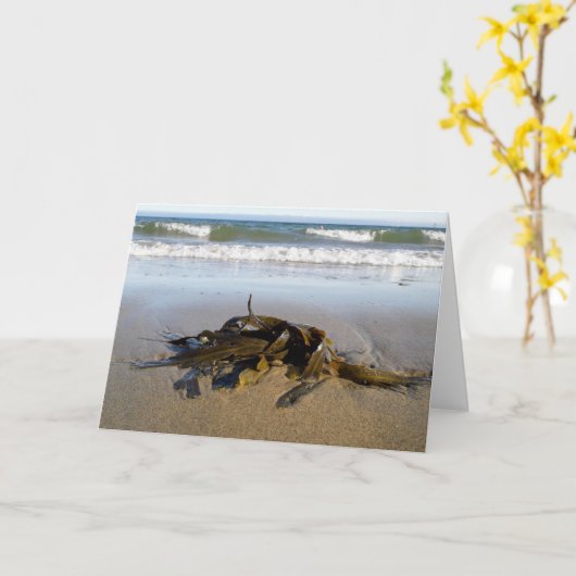 海草！ カード (黄色い花)