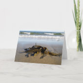 海草! カード (正面)