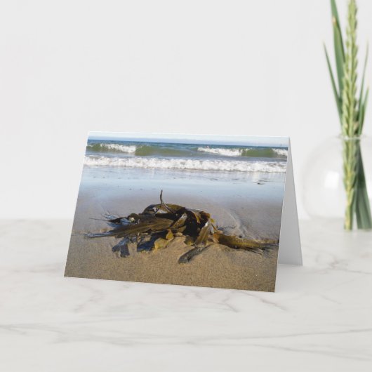 海草！ カード (正面)