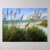 海草 ポスター (正面)