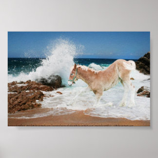 海荷車を引くの ポスター