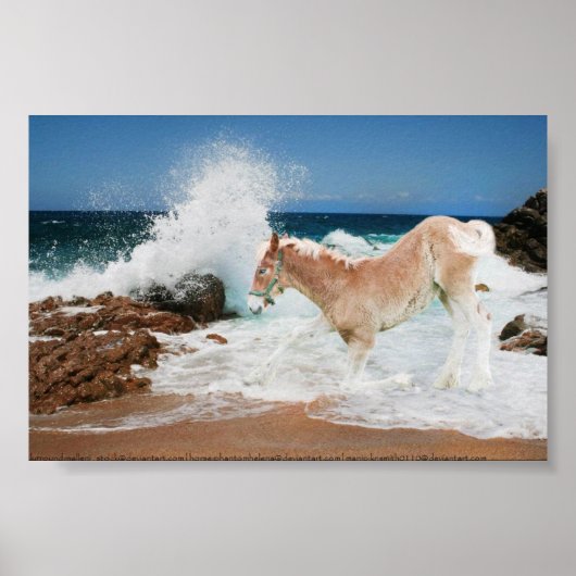 海荷車を引くの ポスター (正面)