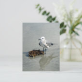 海藻のカモメ ポストカード (スタンド正面)