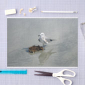 海藻を持つカモメ 薄葉紙 (クラフト)