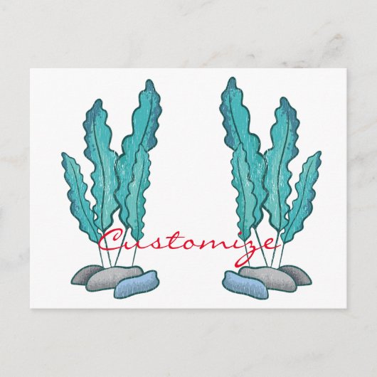 海藻サンダー_コーブ ポストカード (正面)