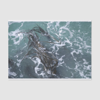 海藻ティッシュペーパー 薄葉紙