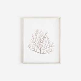 海藻プリント ポスター