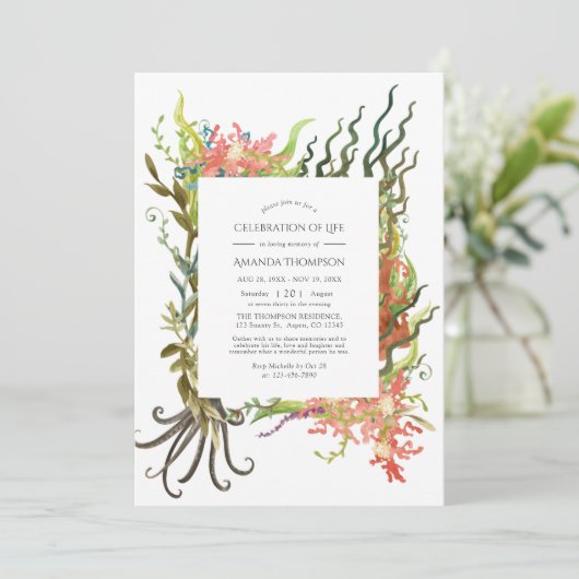 海藻航海のお祝い 招待状 (スタンド正面)