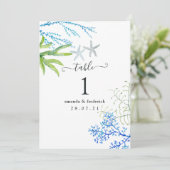 海藻航海の 招待状 (スタンド正面)