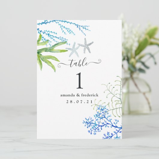 海藻航海の 招待状 (スタンド正面)