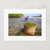 海藻農家 ポストカード (正面)