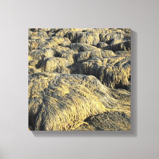 海藻 キャンバスプリント (正面)