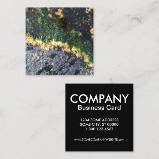 海藻 スクエア名刺 (正面/裏面)