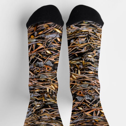 海藻 ソックス (上部)