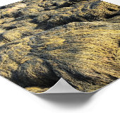 海藻 ポスター (角)