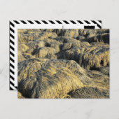 海藻 ポストカード (正面/裏面)