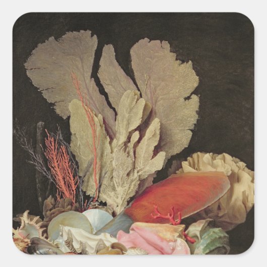 海藻、岩木、貝殻 スクエアシール (正面)