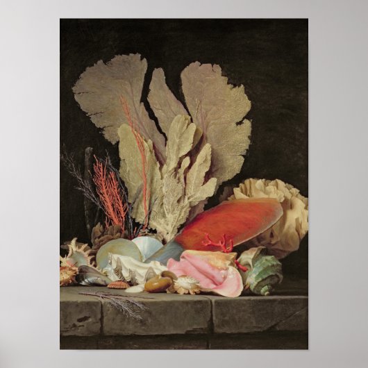 海藻、岩木、貝殻 ポスター (正面)