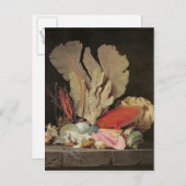 海藻、岩木、貝殻 ポストカード (正面/裏面)