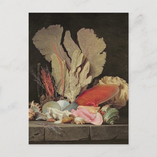 海藻、岩木、貝殻 ポストカード (正面)