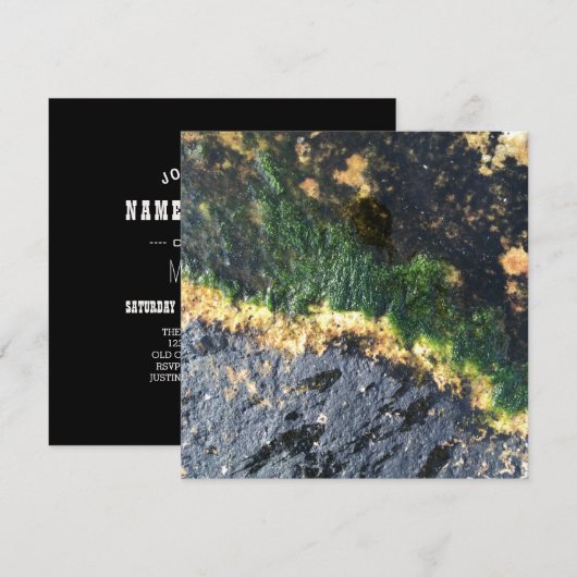 海藻 招待状 (正面/裏面)