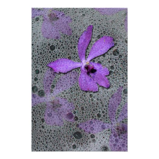 海蘭 ポスター (正面)