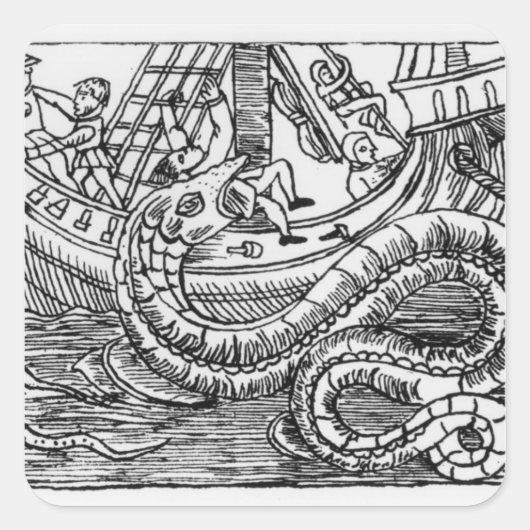 海蛇 スクエアシール (正面)