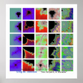 海蛇 ポスター (正面)