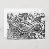 海蛇 ポストカード (正面/裏面)