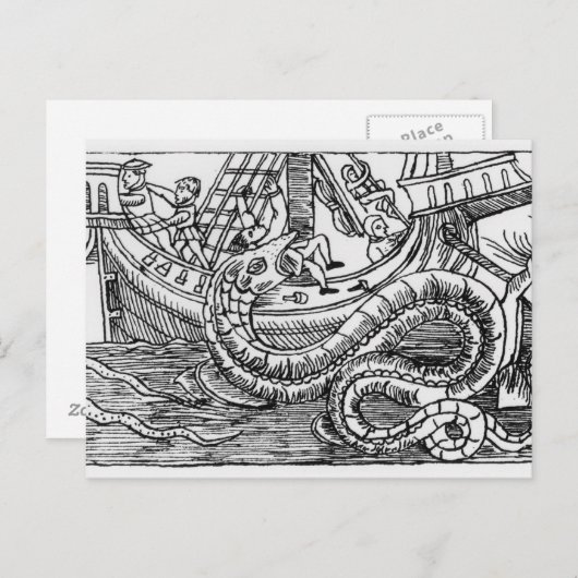 海蛇 ポストカード (正面/裏面)