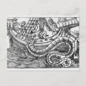 海蛇 ポストカード (正面)