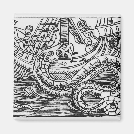 海蛇 マグネット (正面)