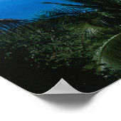 海表示 ポスター (角)